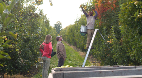 Quarry Hill Orchards and Winery